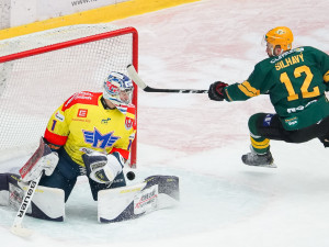 ČEZ Motor České Budějovice vs VHK ROBE Vsetín