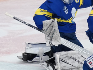 ČEZ Motor České Budějovice vs HC Zubr Přerov