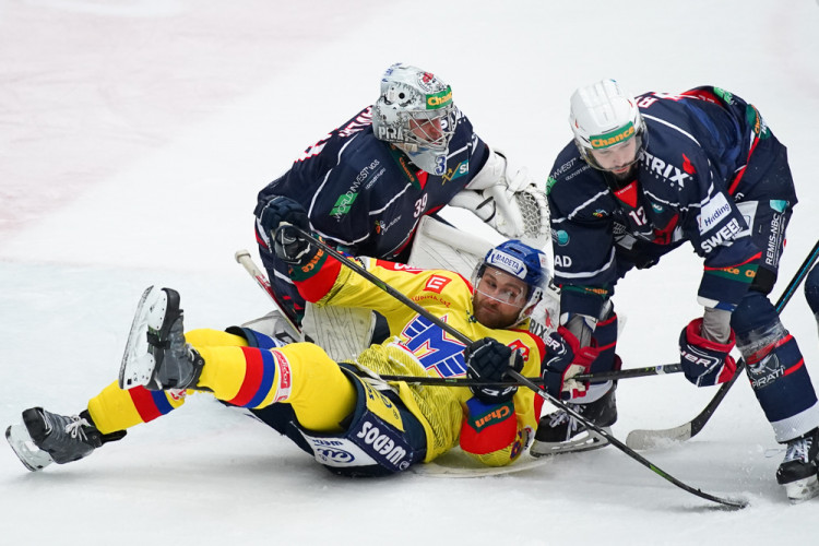 ČEZ Motor České Budějovice vs Piráti Chomutov