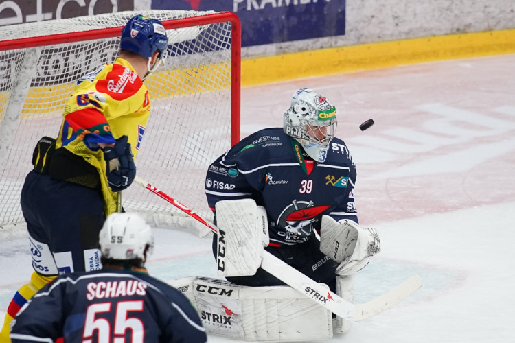 ČEZ Motor České Budějovice vs Piráti Chomutov