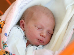 KOCLÍŘOVÁ Aneta