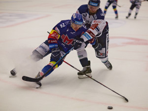 FOTOGALERIE: Madeta Motor ČB - Vítkovice Ridera