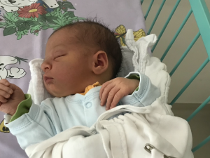 DAŇKOVÁ, Josefína