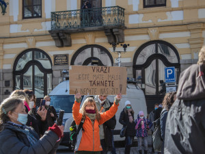 V Písku proti vládě protestovalo pět desítek lidí. Přijel i poslanec Volný