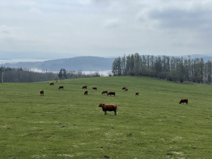 Naučná stezka Adalberta Stiftera