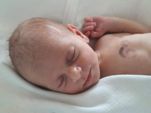 Viktorie Rösslerová