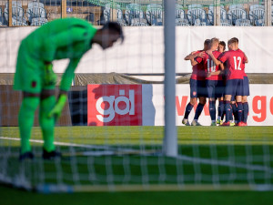 Češi porazili Albánii 4:0