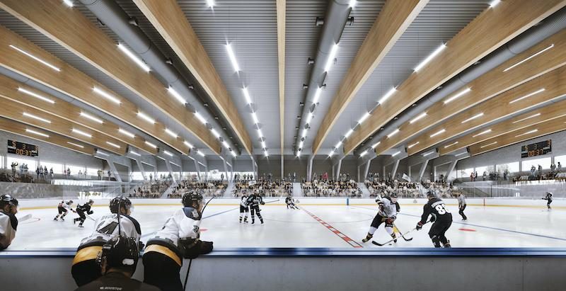 Vizualizace nového hokejového stadionu v Hluboké nad Vltavou.