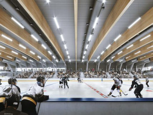 Vizualizace nového hokejového stadionu v Hluboké nad Vltavou.