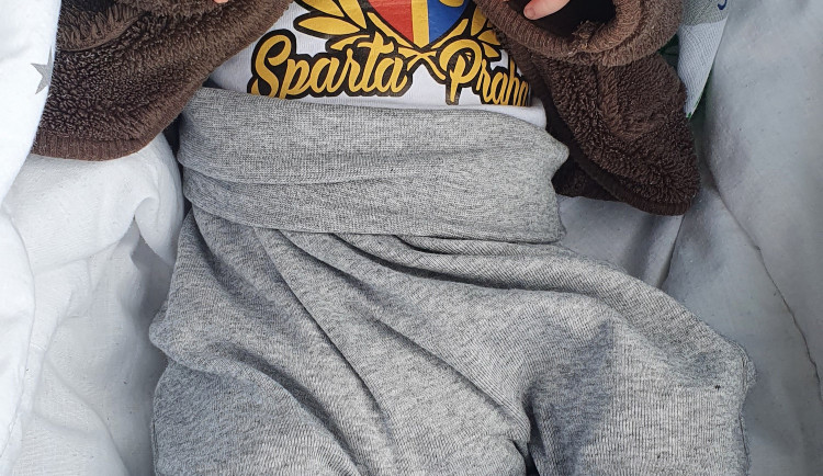Drbňátka srpen 2021