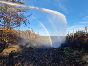 Jihočeští hasiči v Hřensku