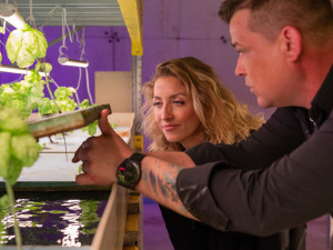 Aquaponická farma v Lážovicích pěstuje k přírodě šetrným způsobem výtečnou zeleninu a nabízí také rybí maso. Využívá totiž moderní způsob produkce rostlin, které si za pomoci speciální technologie berou živiny přímo z vody, v níž žijí ryby. 