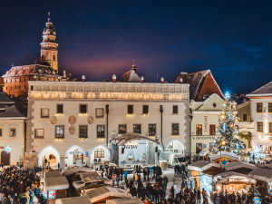 Strom v centru Českého Krumlova. Foto: Tomáš Perzl