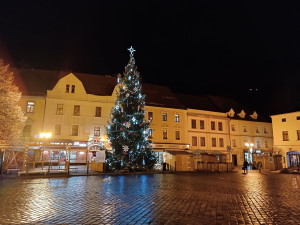Strom na náměstí v Písku. Foto: Petra Měšťanová