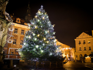 Jindřichohradecký vánoční strom. Foto: Michal Žoudlík