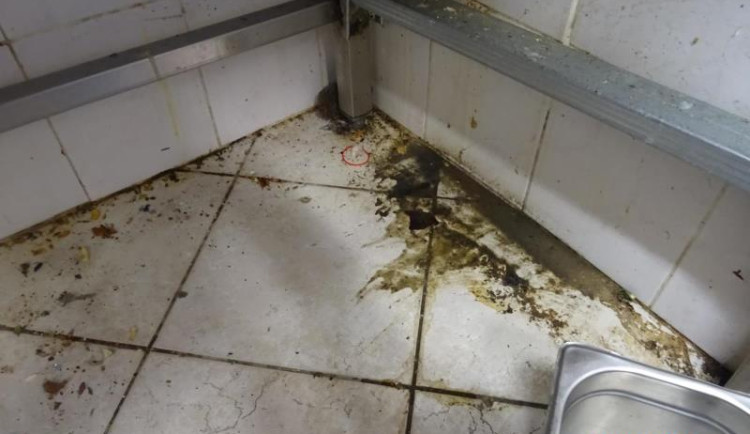 Špína a švábi všude. Inspekce zavřela indické bistro v Budějcích
