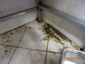 Špína a švábi všude. Inspekce zavřela indické bistro v Budějcích