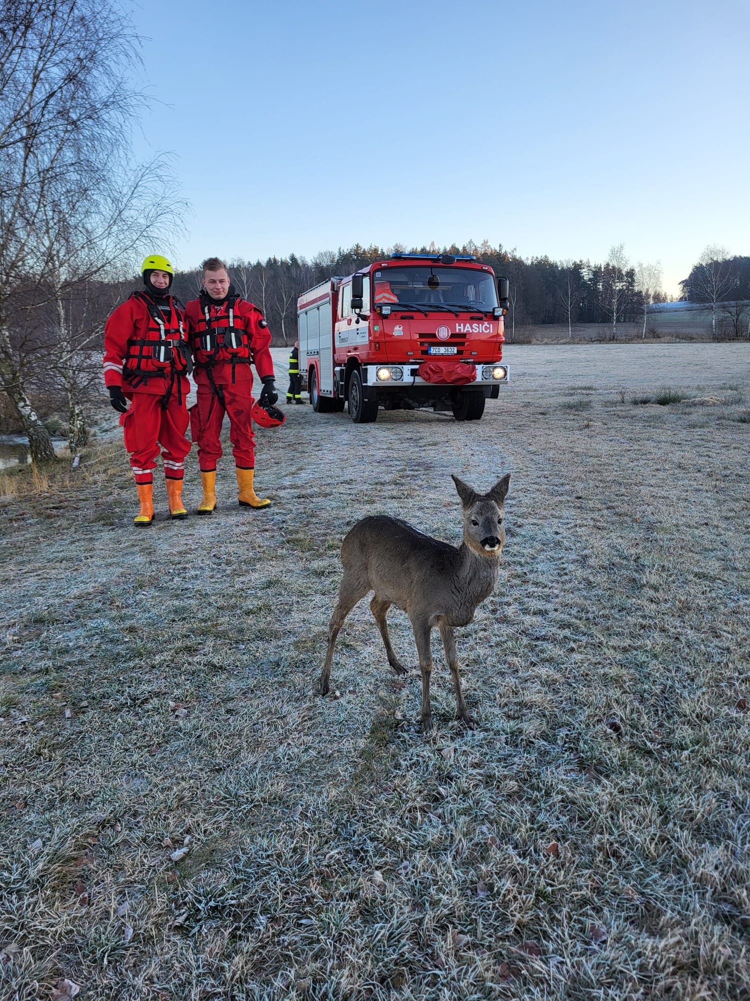 Hasi i Zachr nili Srnu Kter Se U Pluhova ru Propadla Do Zamrzl ho 