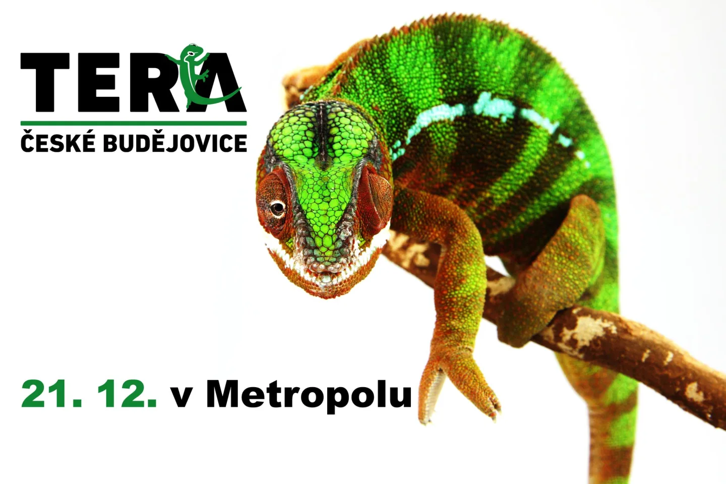 TERRA České Budějovice