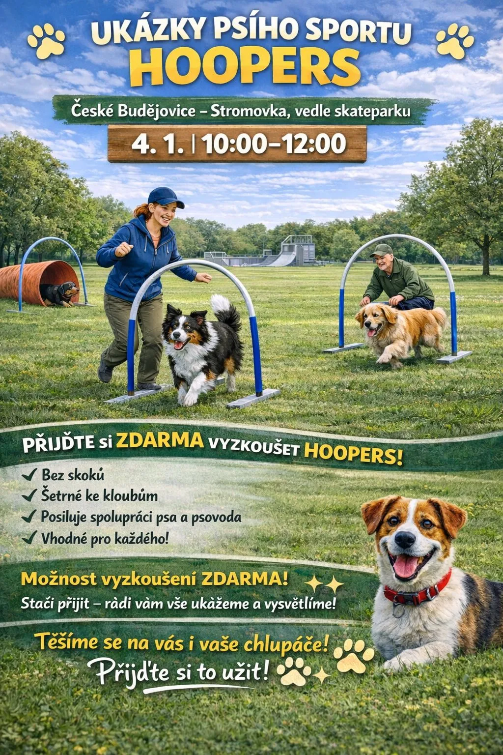 Ukázky psího sportu hoopers