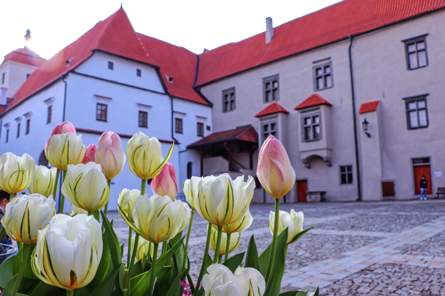 Výstava Smyslné jaro