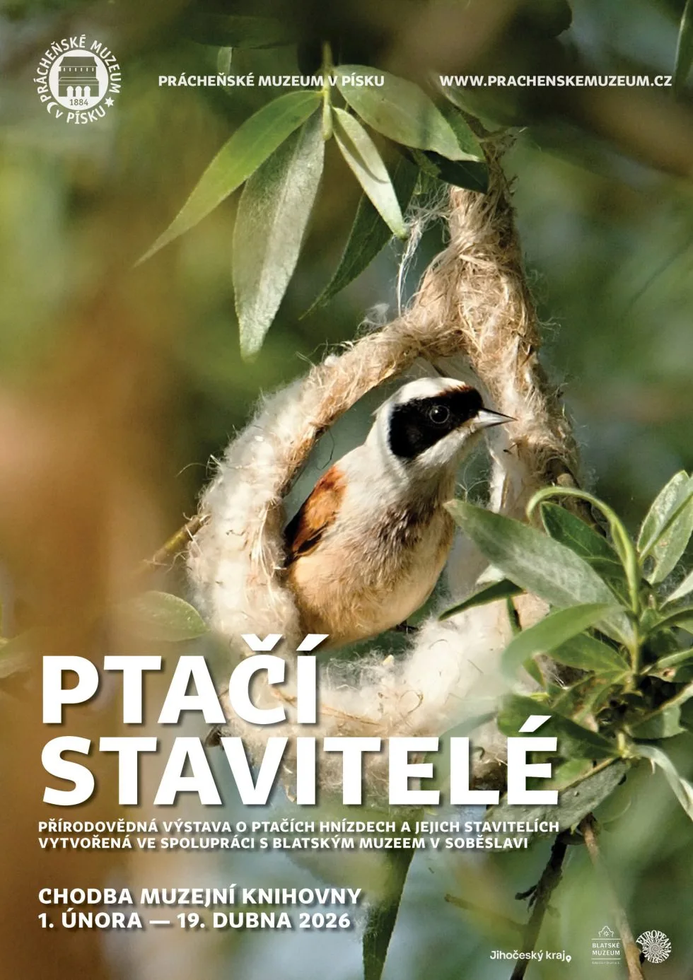 Výstava Ptačí stavitelé