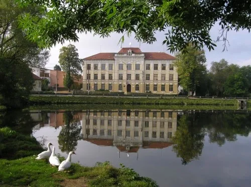 skola