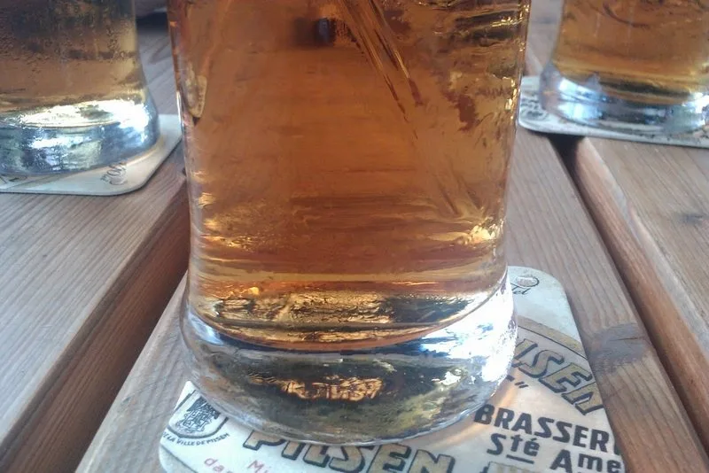 Pivo