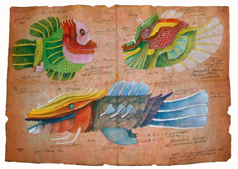 obrázek Tomáš Paul