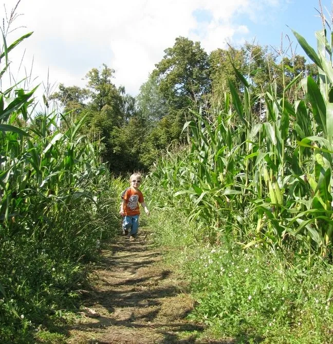 bludiště
