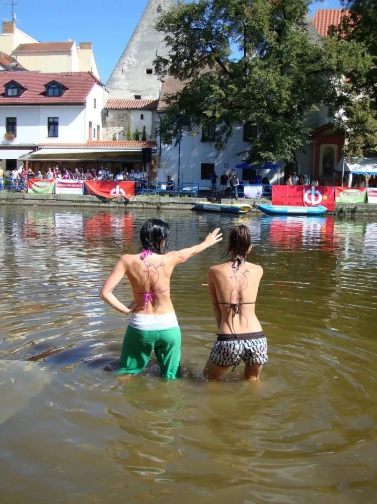 Ještěřice zkoumají terén