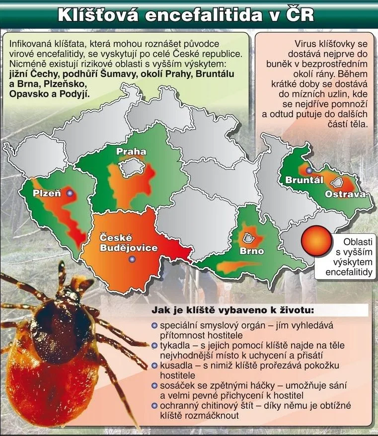 Klíšťová encefalitida