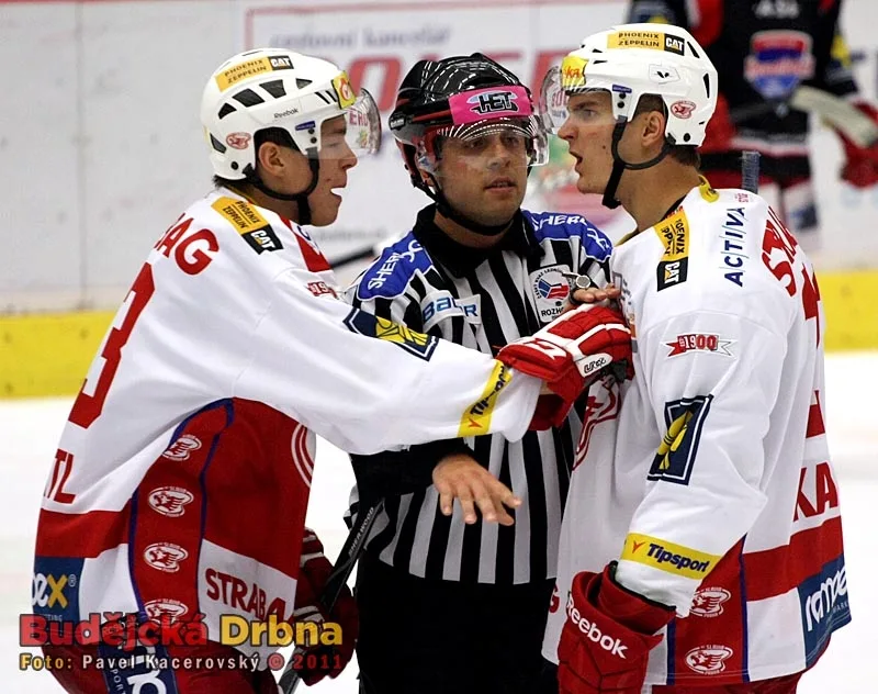 Že by se spoluhráči poprali? Ale ne, to jen Tomáš Hertl (vlevo) umravňuje Petra Kaluse