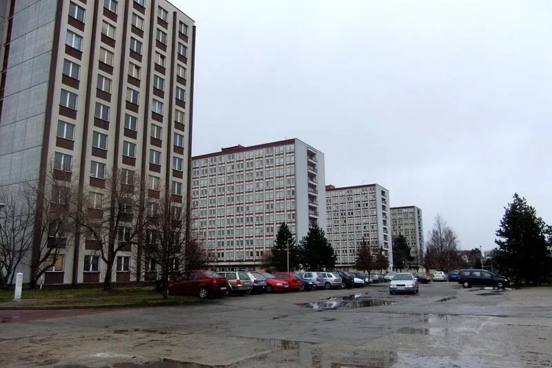 Univerzitní půda