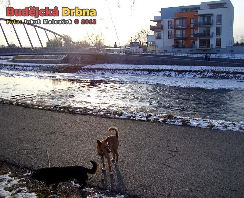 Okolí budějcké ulice U Lučního jezu