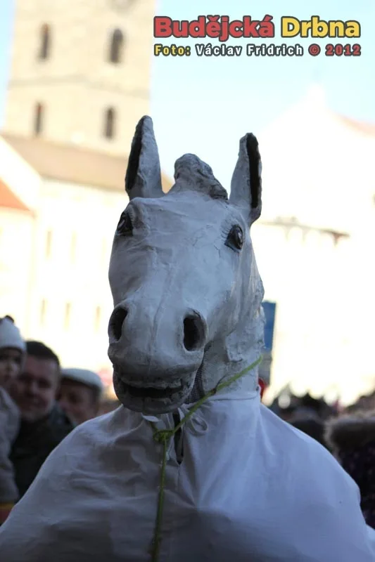 Budějcký masopust 2012