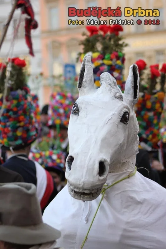 Budějcký masopust 2012