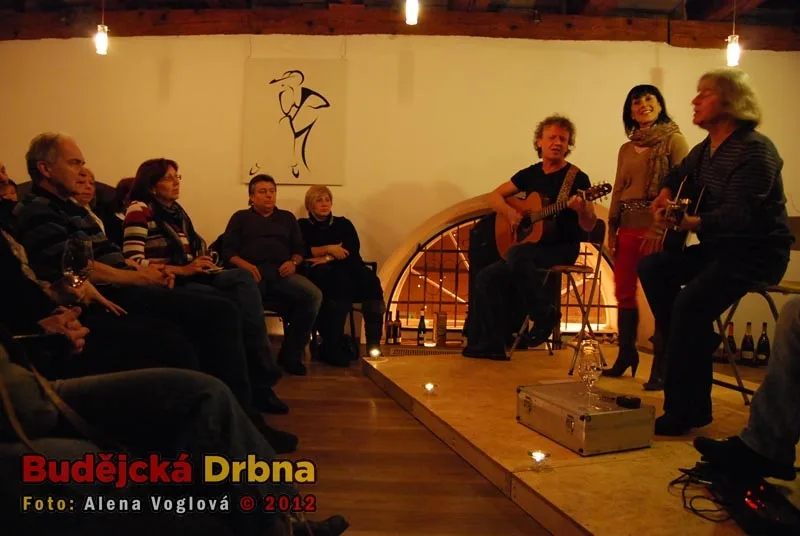 Koncert Pavla Žalmana Lohonky v Solnici