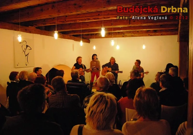 Koncert Pavla Žalmana Lohonky v Solnici
