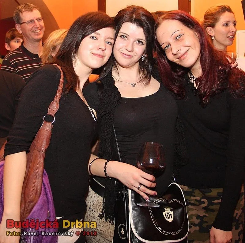 Koncert HE bandu