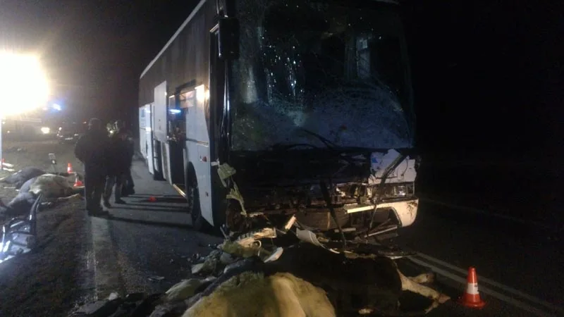 Po srážce autobusu se stádem krav byli u Krasejovky čtyři lidé zraněni, devět zvířat zemřelo
