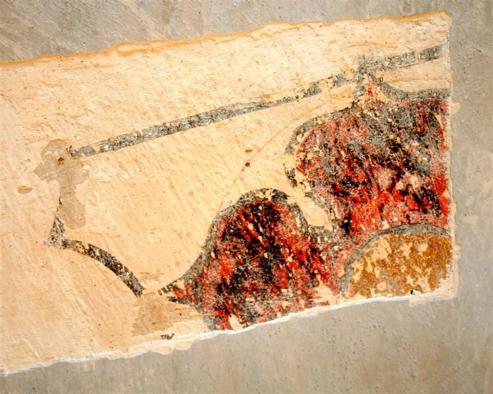 Na klenbě bylo nalezeno 26 znakových štítků z doby zaklenutí kostela roku 1513. Na snímku detail rožmberského erbu s červenou pětilistou růží a neznámým erbem