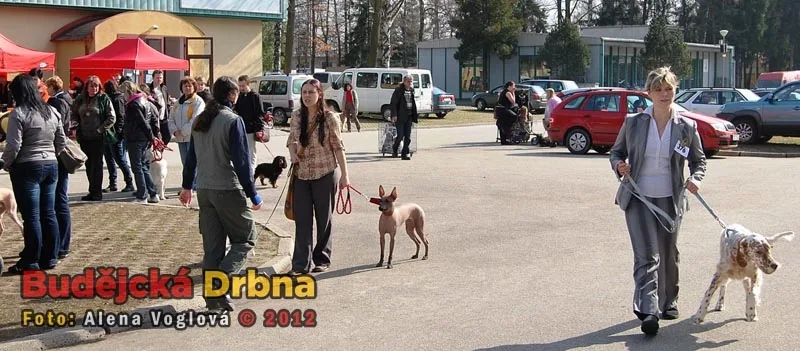 Oblastní výstava psů v Českých Budějovicích