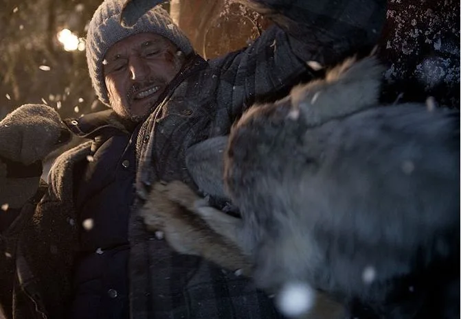 Liam Neeson
