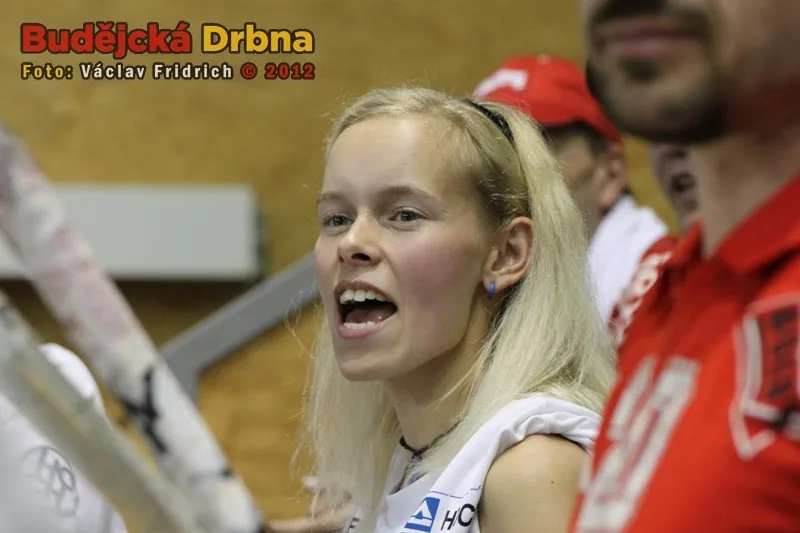 VO Vavex Kocouři Příbram - VK Jihostroj České Budějovice 3:0