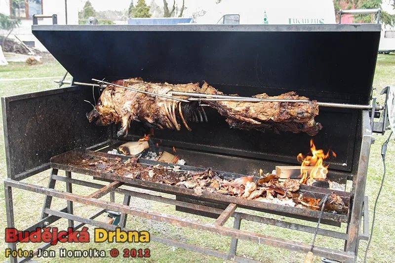 Pro hladové se na rožni opékal i čuník