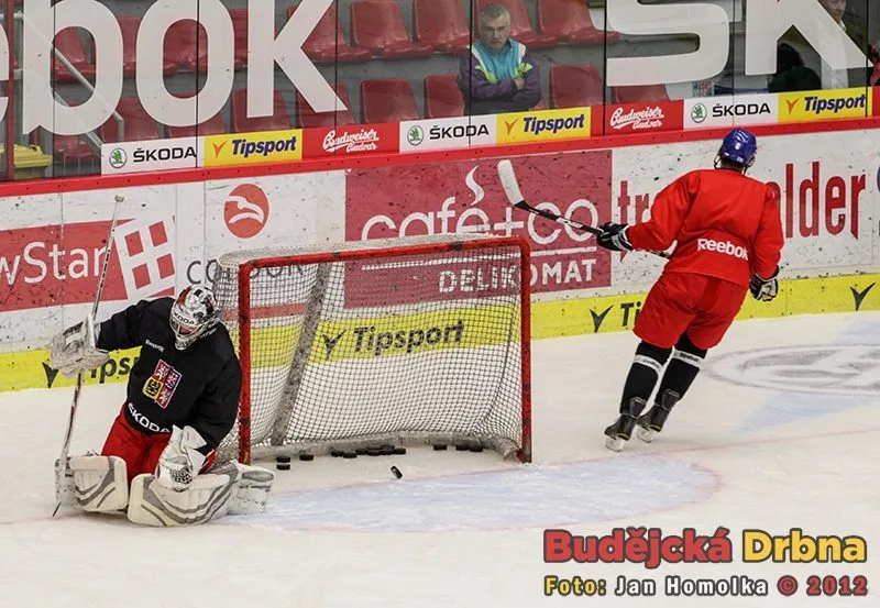 Trénink české hokejové reprezentace v Budějcích