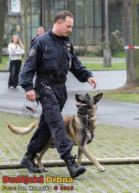Ukázka policejní práce psovodů