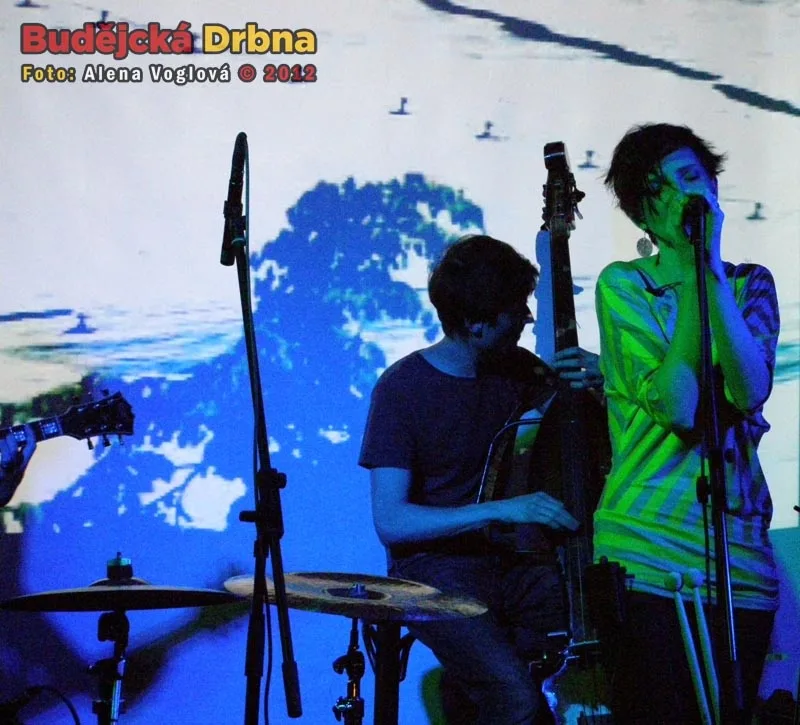 Lealoo