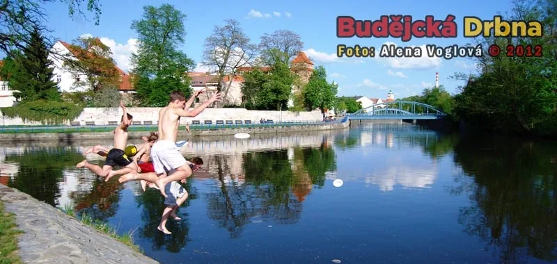 Kdo že chytí frisbee ze vzduchu ten...